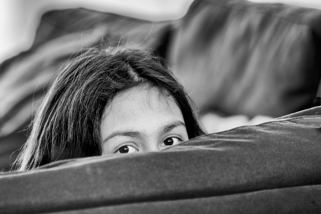 Home Hiding 1024x683
